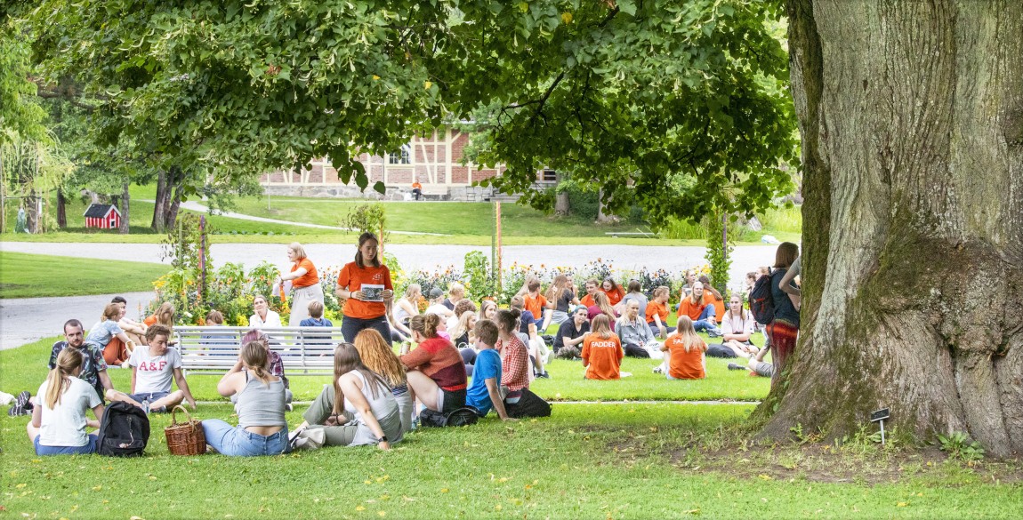 Studenter på gressplen